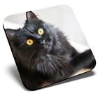 Square Single Coaster - Fluffy Black Cat Kitten Pet  #24572