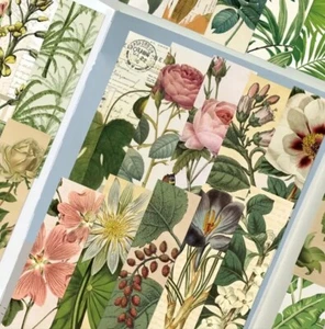 30 PC Bookmark Set Botanical Garden Plants Drawing 1.5" x 6" New Free Ship 114 - Bild 1 von 2