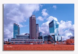 Converted Full Spectrum Infrared IR Panasonic G3 16 MP Olympic Edition Camera 34 - Picture 1 of 4