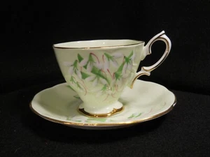 Royal Albert Laurentian Snowdrop Teacup and Saucer ~light green background - Picture 1 of 5