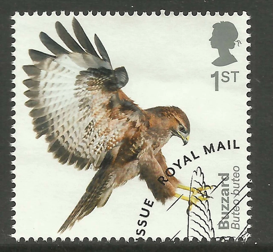 GB 2019 QE2 1st Birds of Prey ' Buzzard ' Ex Fdc SG 4203 ( K434 ) - Image 1 of 1