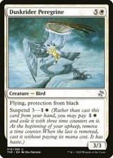 Duskrider Peregrine x4 4x Time Spiral Remastered NM MTG