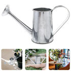 Tin Sprinkling Kettle for Succulent Care