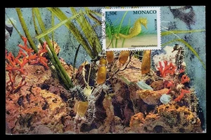 MONACO 2021 Carte Maximum EUROPA Espèces menacées Threatened Hippocampe Seahorse - Imagen 1 de 1