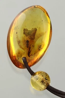 大号 CADDISFLY & FLOWER FLY 正品波罗的海琥珀皮革吊坠 10.2 克 250326-2 — 第 1/4 张图片