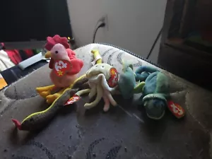 ty beeny babys - Picture 1 of 1
