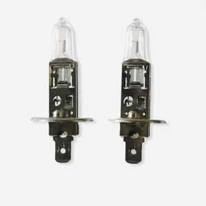 2x Bombillas halógenas H1 12v 55w Bombilla de faro Hecha en Alemania - Imagen 1 de 4