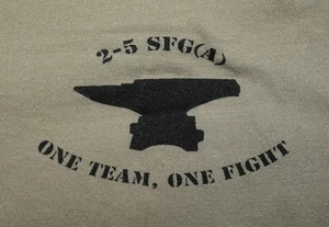Original 2nd Battalion 5th Special Forces Group Punisher Logo Tan T-Shirt - Bild 1 von 4