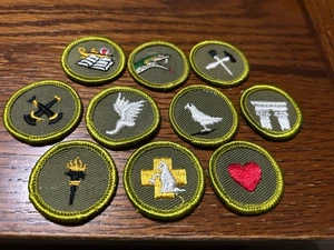 INSIGNIA DE MÉRITO BOY SCOUT TIPO F PALOMA PRIMEROS AUXILIOS ATLETISMO ARQUITECTURA REPTIL - Imagen 1 de 2