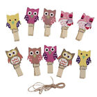  10 Pcs Bamboo Picture Holder Clothespins Colorful Wooden Clip
