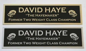 DAVID HAYE NAMEPLATE FOR SIGNED TRUNKS GLOVE PHOTO DISPLAY CASE - Picture 1 of 2