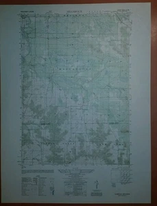 Mapa topográfico del ejército de 1940 trébol Wisconsin 2872 III NE - Imagen 1 de 5
