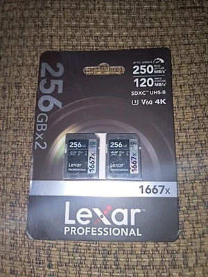 Lexar Professional 1667x 256GB SDXC UHS II Karte 250MBs 4K Video Support - Bild 1 von 2
