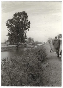 Water Canal in Land of Goshen Egypt Original Photo Yom Kippur War 1973 IDF - Picture 1 of 2