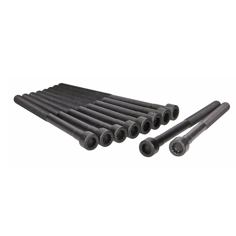 Zylinderkopfschraubensatz für Ssangyong 2.0 Xdi 81043300 | 6659901012 | 66599011 - Bild 1 von 3