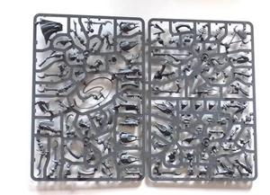 5 Myrmidesh Painbringers Miniaturen Slaanesh Warhammer AOS Figuren GW Sigmar - Bild 1 von 1