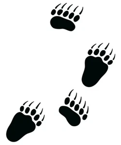 Grizzly Bear Tracks Decals Sticker Hunting - Several Colors and Sizes Available - Picture 1 of 1