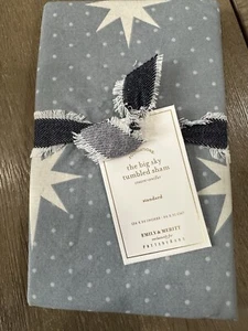 Pottery Barn the big sky Sham standard ONE Blue stars Emily Meritt - Picture 1 of 1