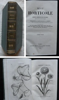 REVUE HORTICOLE Année 1860 Journal d'Horticulture pratique / Arboriculture.. - Photo 1/4