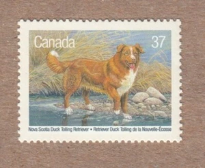 HUNTING DOG = DUCK TROLLING RETRIEVER = Canada 1988 # 1218 MNH Stamp - Picture 1 of 1