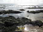 Photo 6X4 Newton - Black Rocks Rocky Shore East Of Porthcawl With Views S C2021