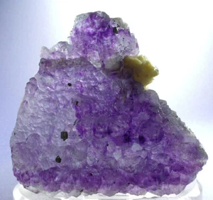 HUGE STEPPED PURPLE FLUORITE CRYSTALS w PYRITE, DOLOMITE, SHANGBAO, CHINA - Picture 1 of 3