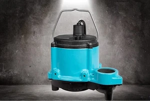 Little Giant 506271 Sump Pump for Water without Switch, Plug with 10 Feet Cord - Picture 1 of 5