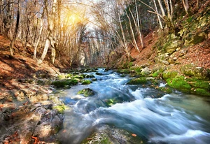 VLIES Fototapete-WASSERFALL-(3300S)-Fluss See Wald Felsen Bach Blumen Sonne - Bild 1 von 1