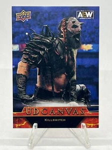 Killswitch #C31 UD Canvas 241123 - Picture 1 of 2