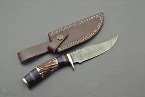 CUSTOM MADE HAND FORGED DAMASCUS 10" HUNTING/SKINNING KNIFE - STAG/ANTLER HANDLE - Picture 1 of 8