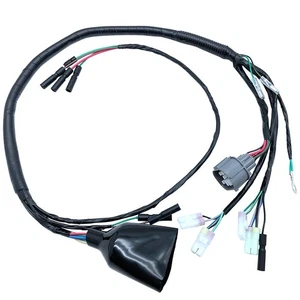 Black Wire Wiring Harness For Honda TRX300EX Sportrax 300 1993-2004 - Picture 1 of 6