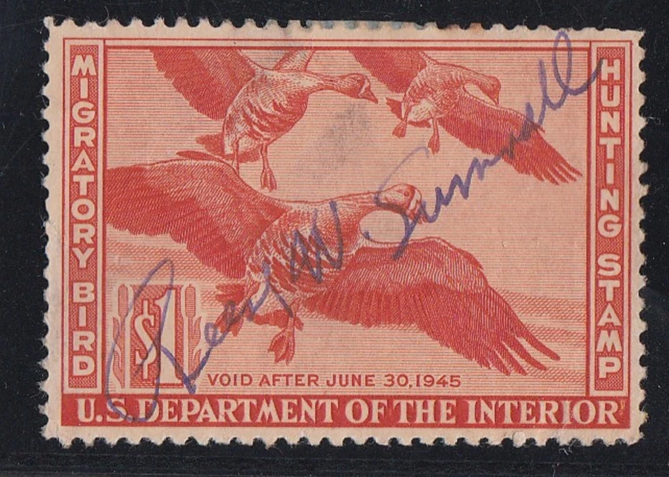 USA 1944 DUCK HUNTING STAMP USED RW11 "VOID AFTER JUNE 30, 1945" - Image 1 of 1