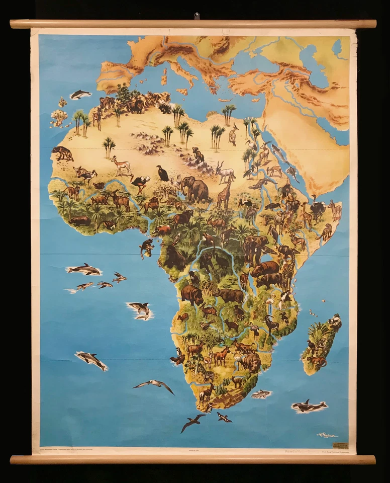 Mapa escolar desplegable ilustrado de vida silvestre africana grande vintage RARO Westermann Foto 1 de 4