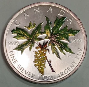 2005 $5 One Ounce Fine Silver Canada Maple Leaf Colored Coin "Big Leaf Maple" - Picture 1 of 8