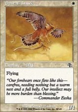 Suntail Hawk X4 LP Judgment MTG Magic Cards White