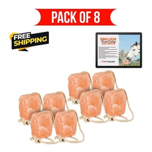 SALZLECKEN, Himalaya Salzleckblock 5-6 Pfund für Pferd, Hirsch 8er Pack mit Seil - Bild 1 von 8