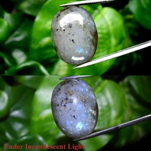 Big! 36.41ct Oval Cabochon Natural Rainbow With Luster Labradorite Gemstone - Picture 1 of 6