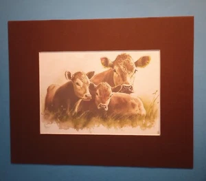 8" x 10" Matted 5" x 7" Print of Resting Jersey Cow with Her Twin Calves - Picture 1 of 3
