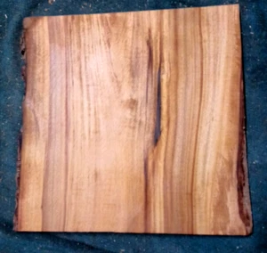 MADERA DE MIRTO FIGURADA TORNEADO EN BLANCO ARTESANÍA CARPINTERÍA APROX 18x17x1,15 pulgadas - Imagen 1 de 2
