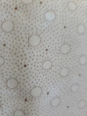 Vntg Sewing Fabric Moda Sandy Gervais "Cold Winter Noses" Cotton 1/2yx45" Cotton - Image 1 of 4