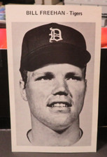OS421 1974 DETROIT TIGERS TEAM PICTURE PACK PHOTO BILL FREEHAN