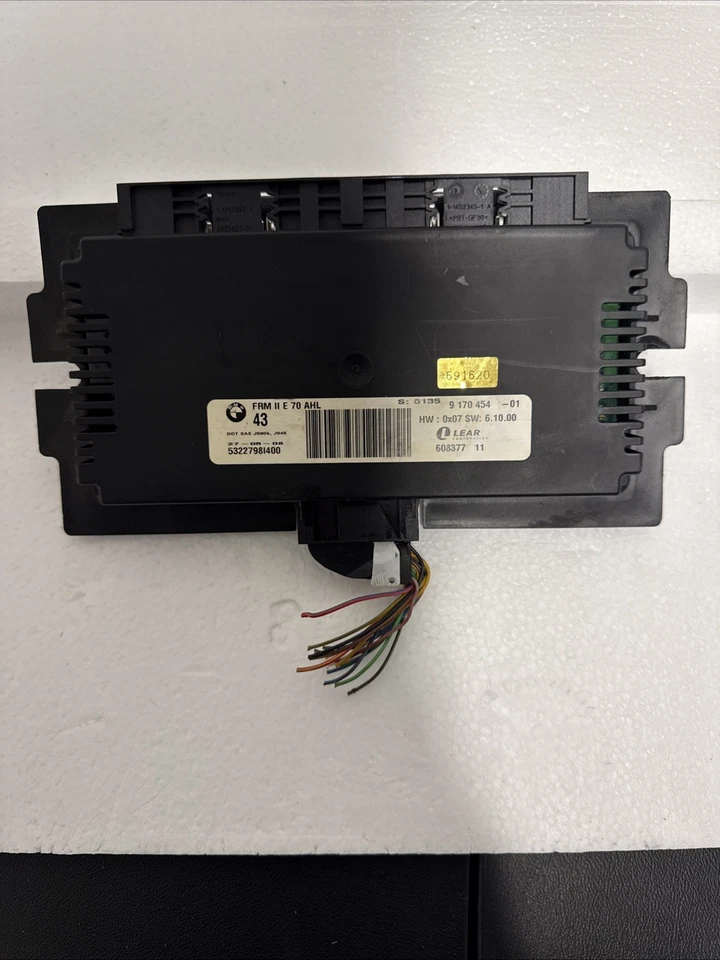 Módulo de control de iluminación del espacio para los pies BMW X5 X6 E70 E71 FRM 2008 9 170 454-01 Foto 1 de 3