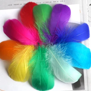 100 pcs 8-12 Cm Natural Floating Goose Colorful Feathers for decorations - Picture 1 of 2