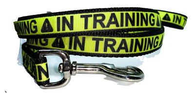 Correa de entrenamiento, 3/4" de ancho, elige tu longitud cachorro en entrenamiento correa de perro Foto 1 de 4