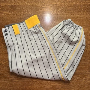 BSN Sports Parkland High School Matadors Herren Baseball Hose Größe L Neu ohne Etikett - Bild 1 von 5