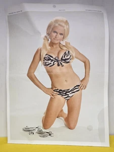 Calendario vintage Rigid Tool Co. Pinup Girl 1969-1970 - Imagen 1 de 4