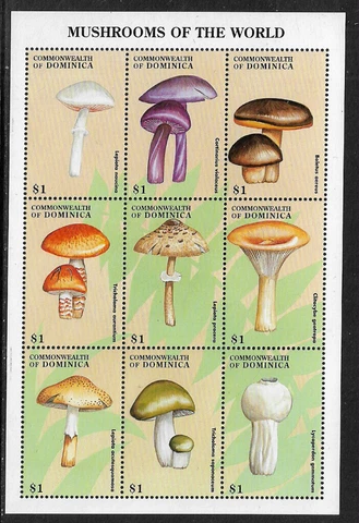 Dominica #2050 MNH Mini Sheet - Mushrooms Cover