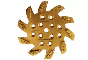 Premium MIX Schleifteller PKD / PCD mit 10 Segmente Ø 250 mm - Bild 1 von 2