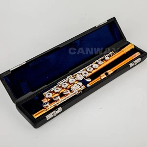 PF-8950ES Flute Phosphor copper 17 Keys Flute Open Hole E-Mech Flute with case - Picture 1 of 9