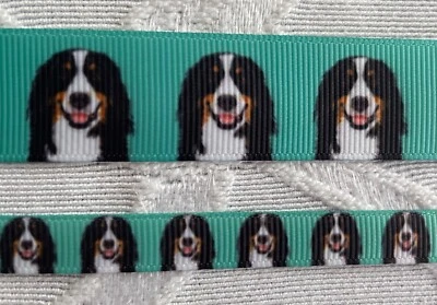 Bernese Mountain dog on turquoise grosgrain ribbon 3/8" 7/8"  BTY - Image 1 of 2